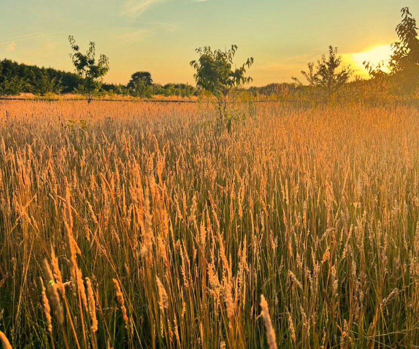 Photo of Others in Strby