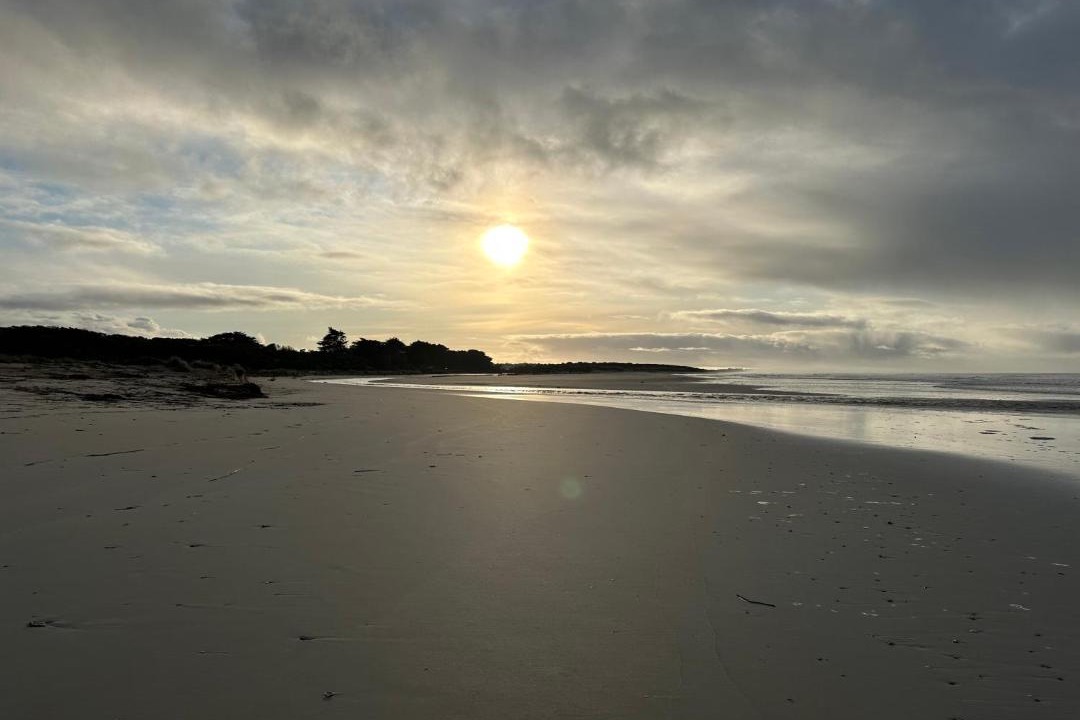 Photo of Others in Narrawong