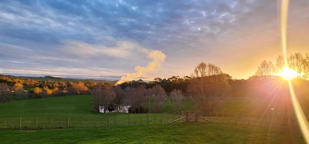 Photo of Others in Waitoki