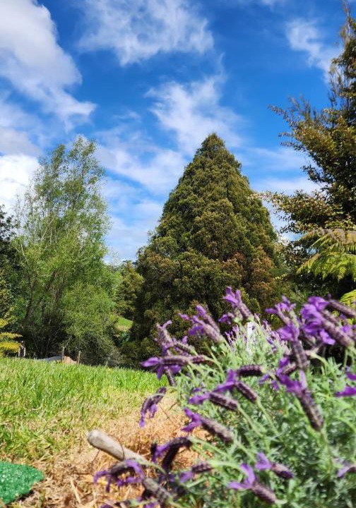 Photo of Others in Waitoki