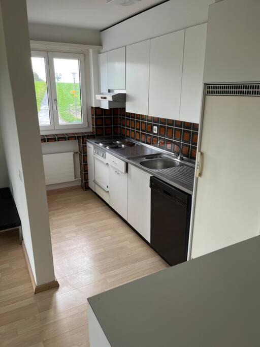 Photo of Kitchen in Meilen District