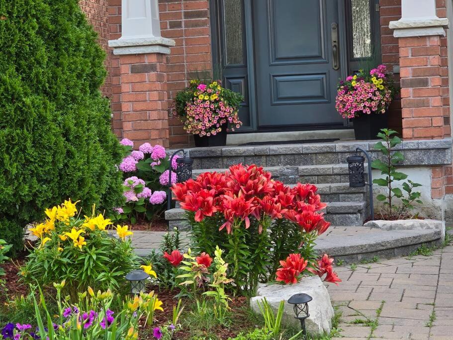 Photo of Others in Richmond Hill