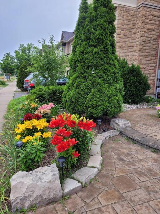 Photo of Others in Richmond Hill