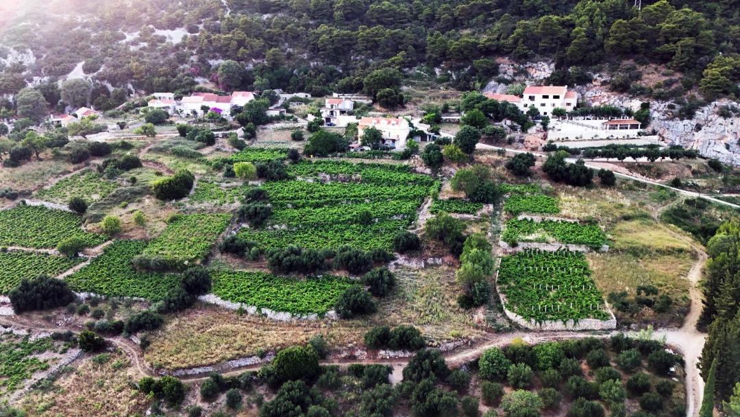 Photo of Buildings in Orebic