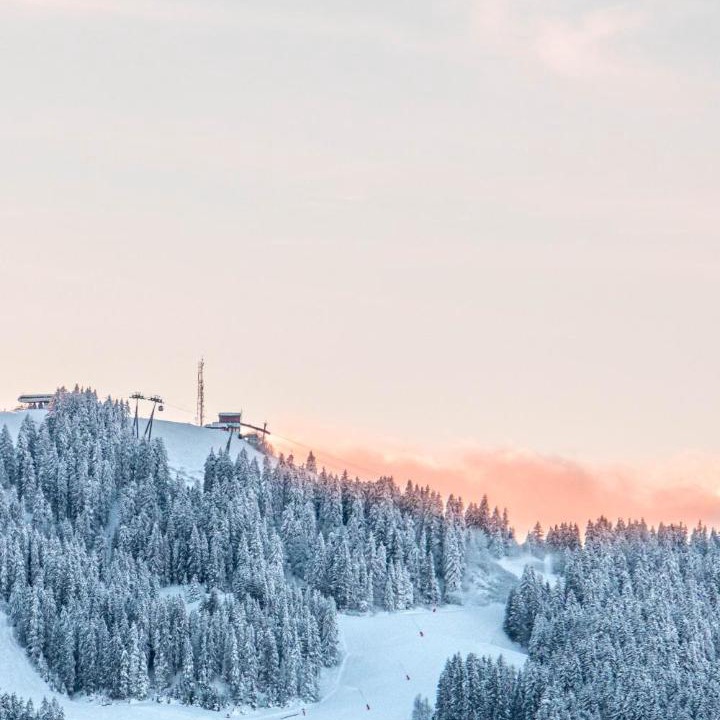 Photo of Others in Le Planellet