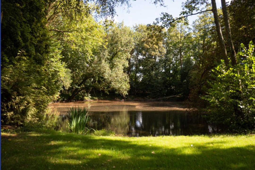 Photo of Others in Elbeuf-en-Bray