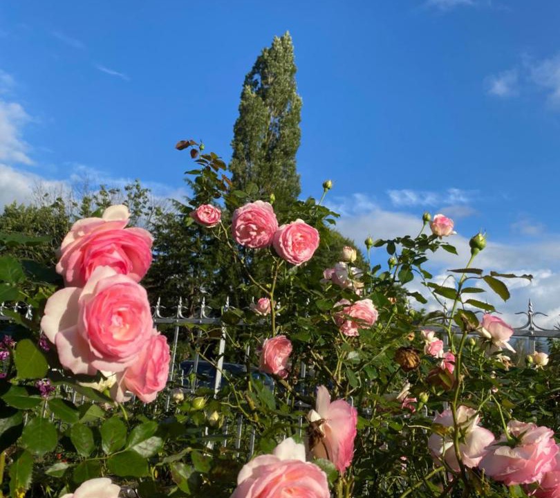 Photo of Outdoor in Uhart-Cize