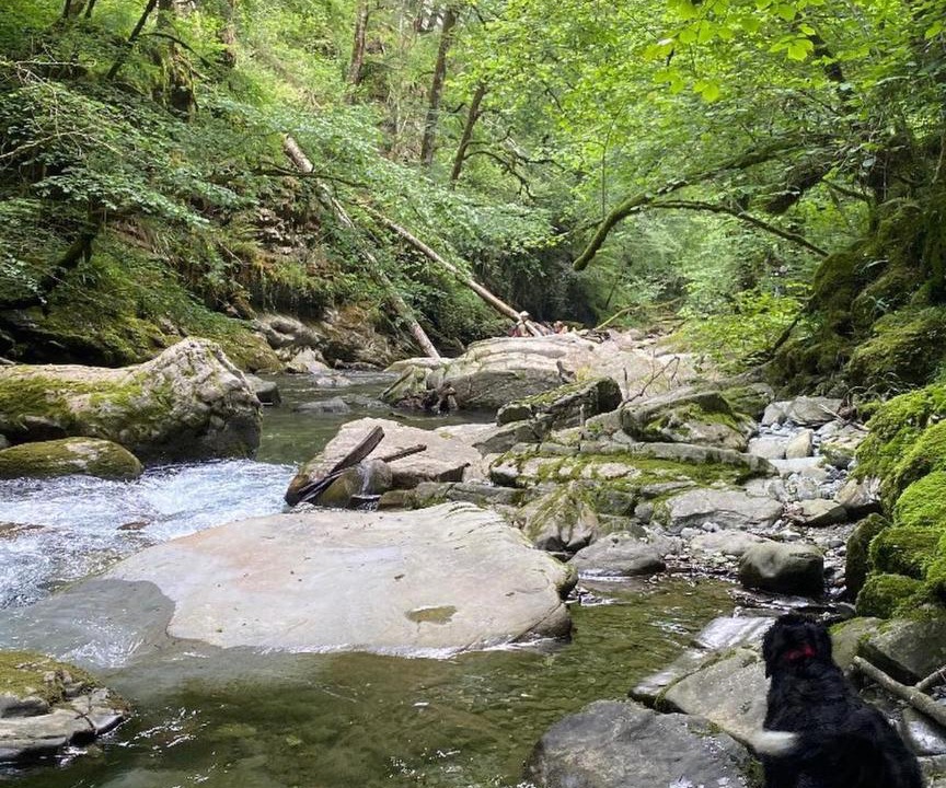 Photo of Others in Uhart-Cize