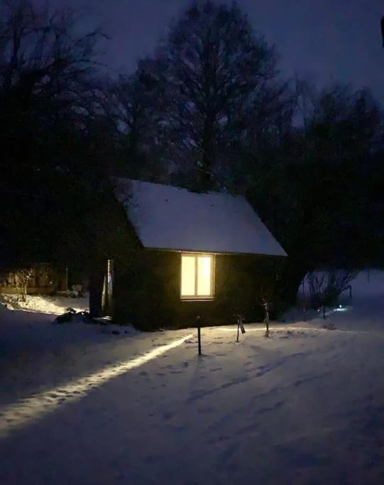 Photo of Others in Sauvigny-les-Bois