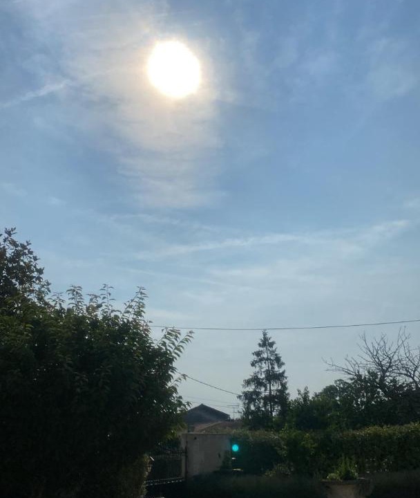 Photo of Others in Saint-Sulpice-de-Cognac