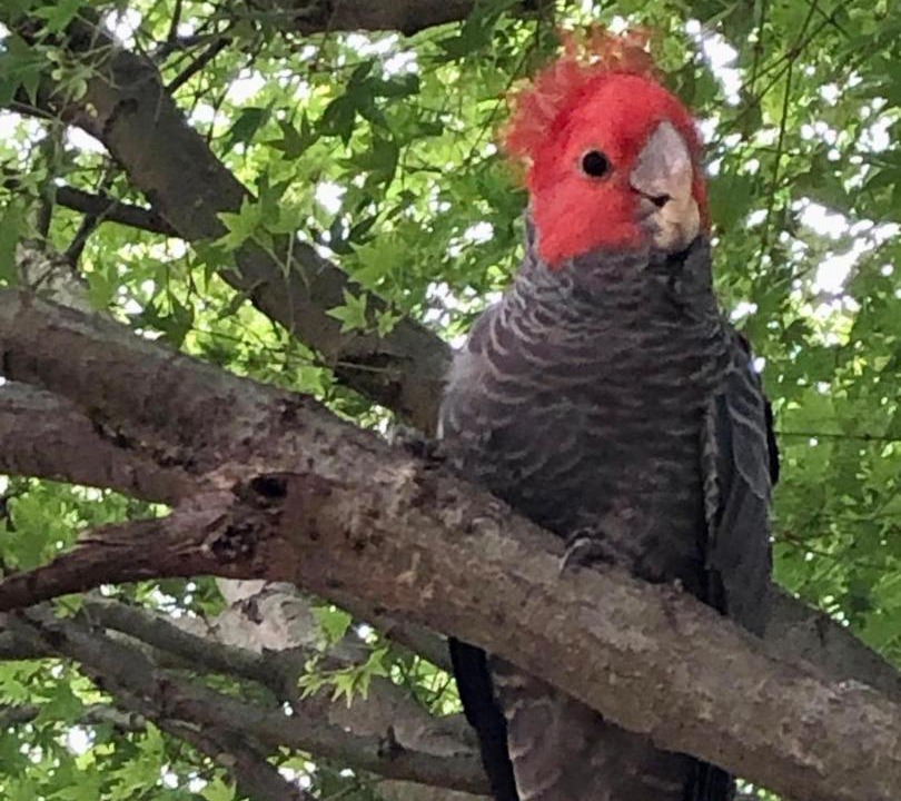 Photo of Others in Mountain Lagoon