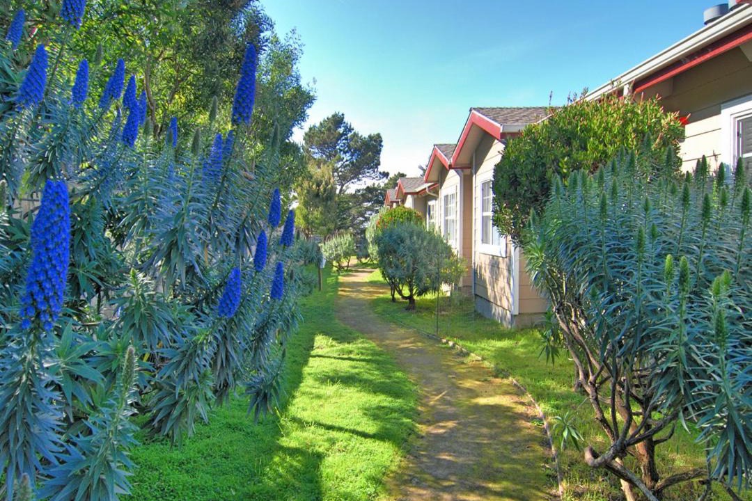 Photo of Others in Pacific Grove