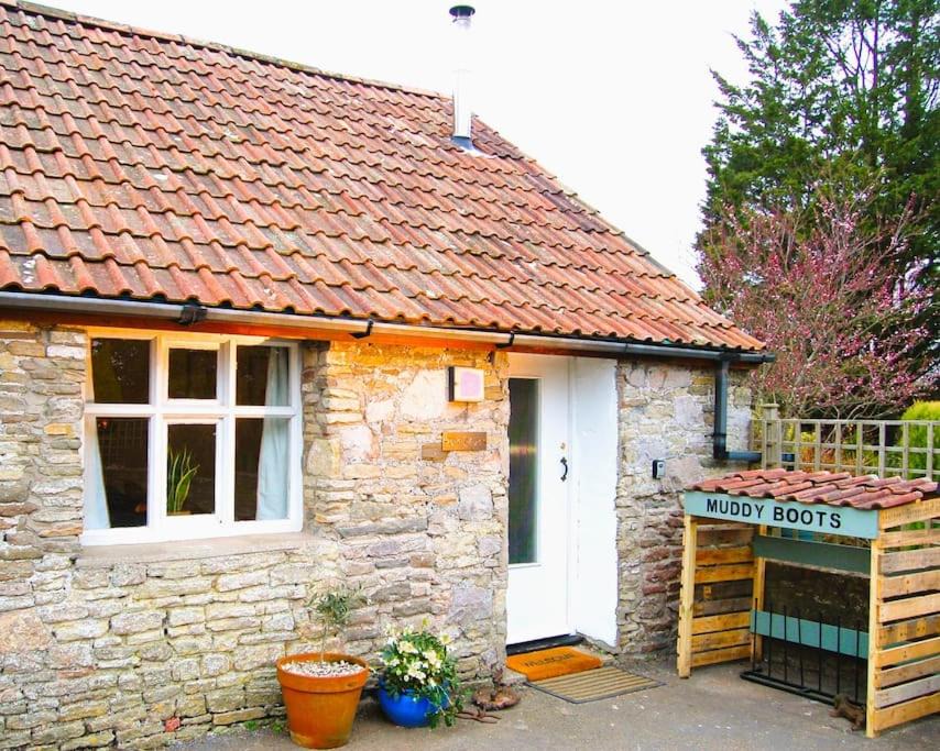 Photo of Others in Kenn