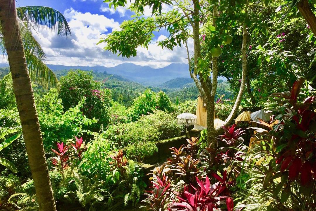 Photo of Others in Rangdu