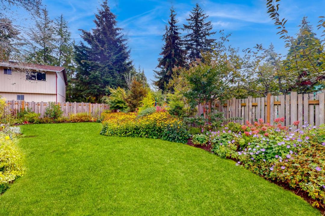 Photo of Others in Olympic Hills