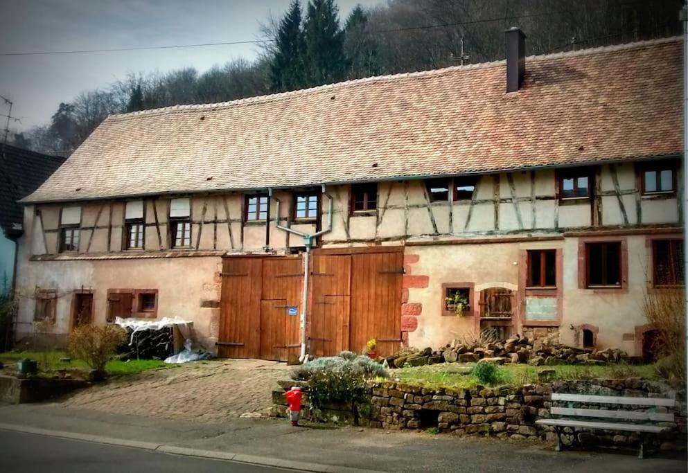 Photo of Others in Reinhardsmunster