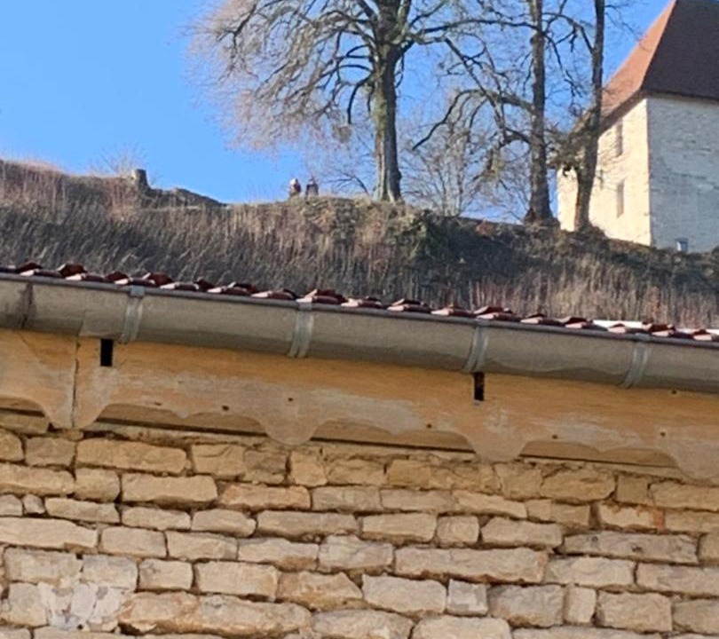 Photo of Others in Vignory