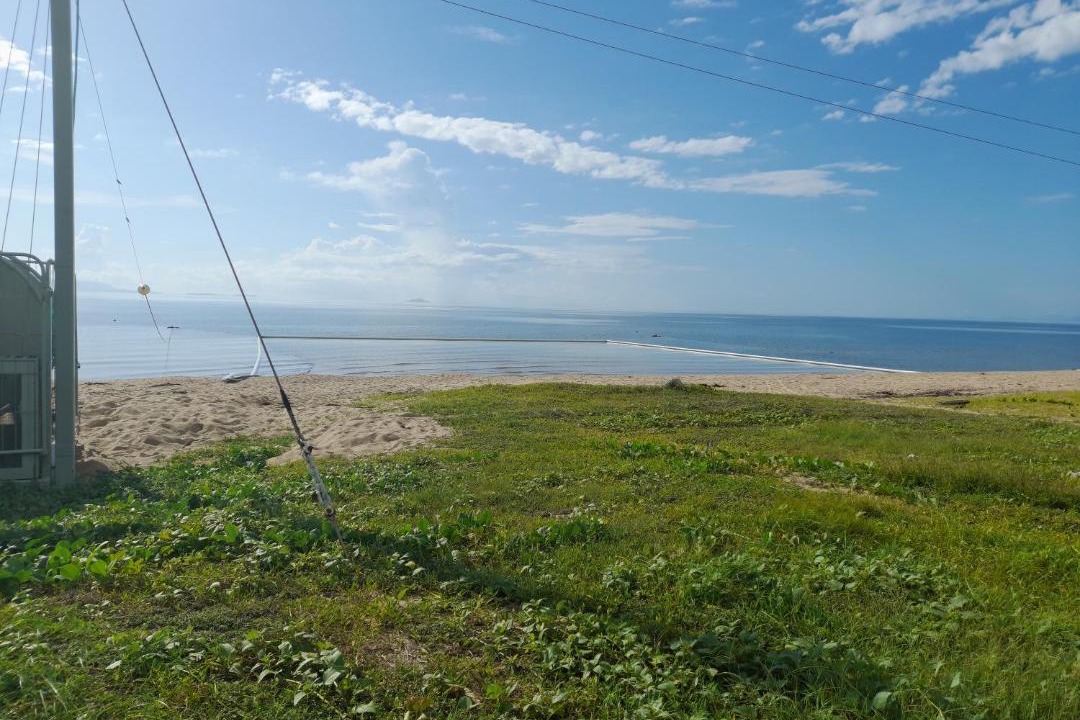 Photo of Others in Allingham