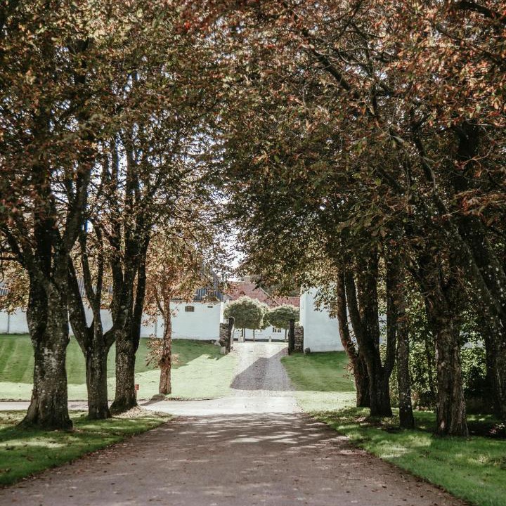 Photo of Others in Nibe