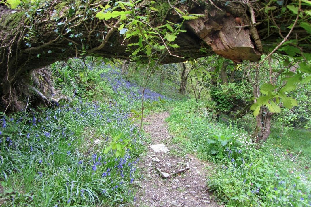 Photo of Others in Cilgerran