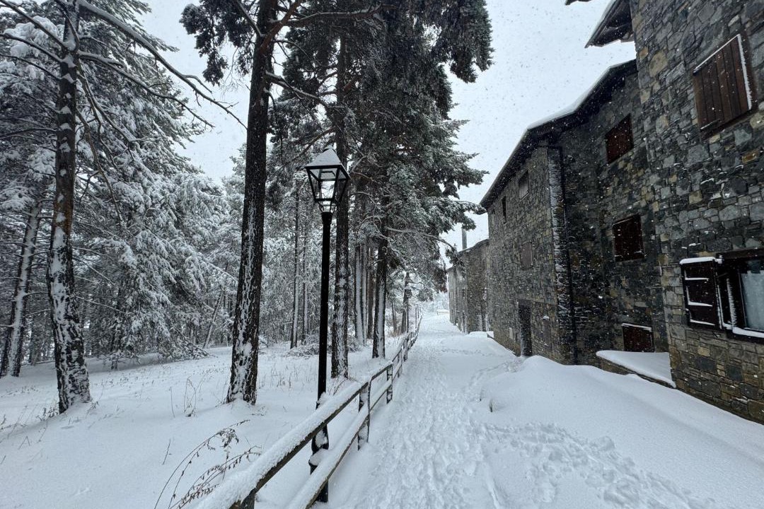 Photo of Others in La Molina