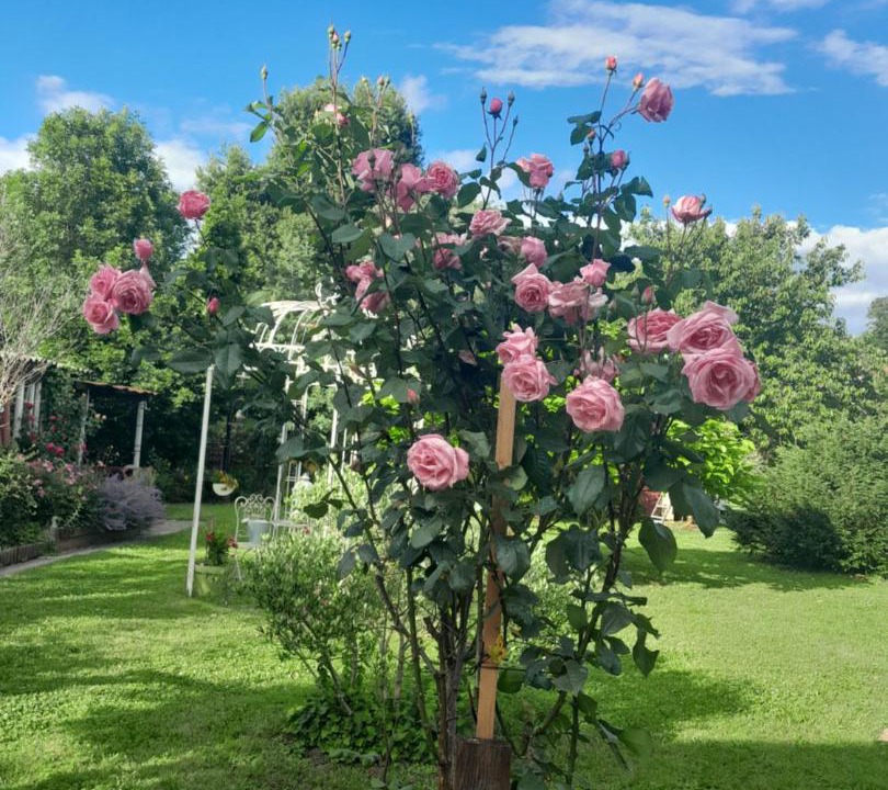 Photo of Outdoor in Carmaux