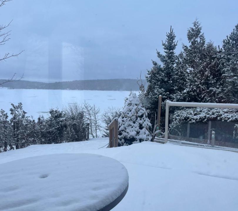 Photo of Others in Saint John