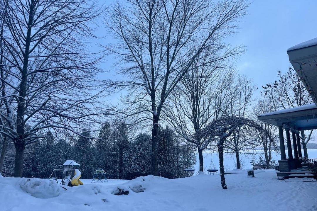 Photo of Others in Saint John