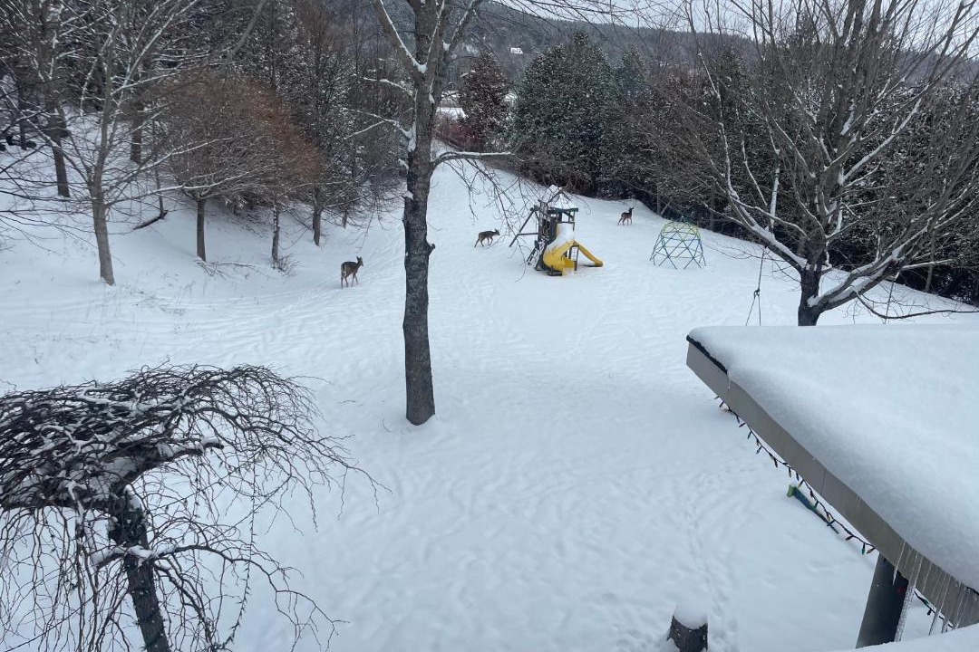 Photo of Others in Saint John