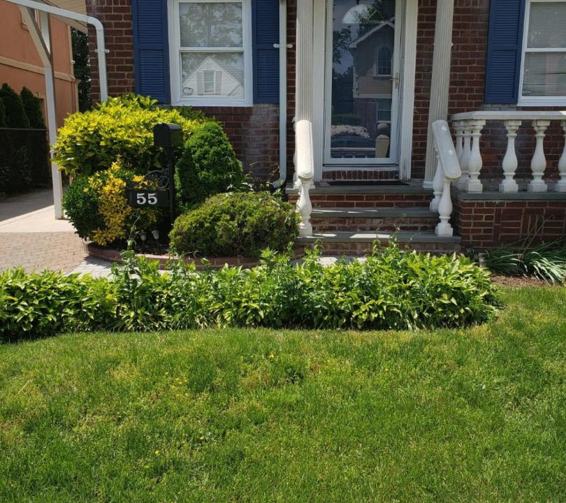 Photo of Others in Elmont