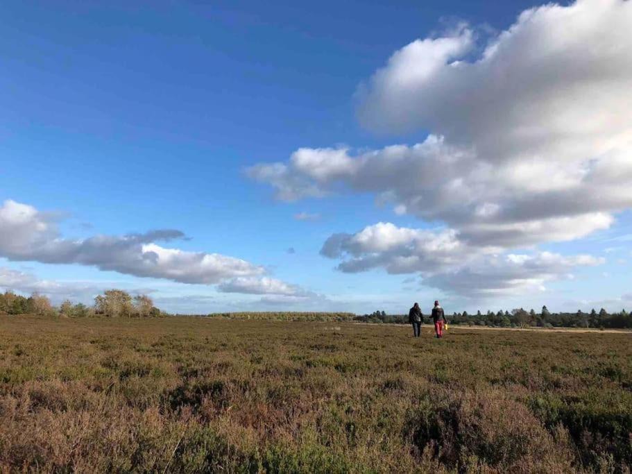 Photo of Others in Brande