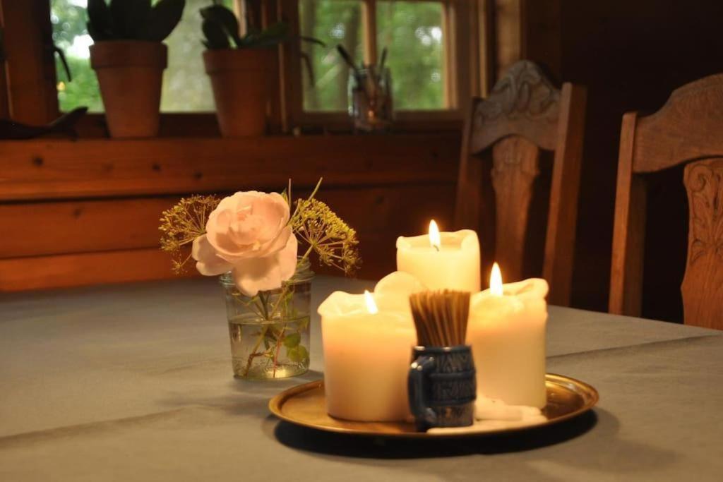 Photo of Others in Brande