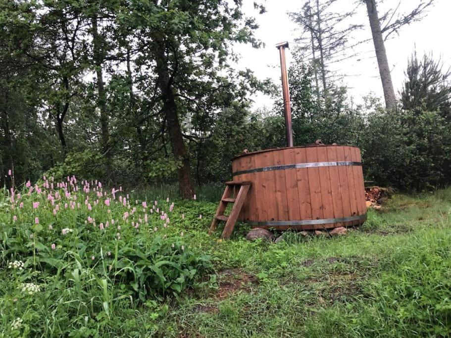 Photo of Others in Brande