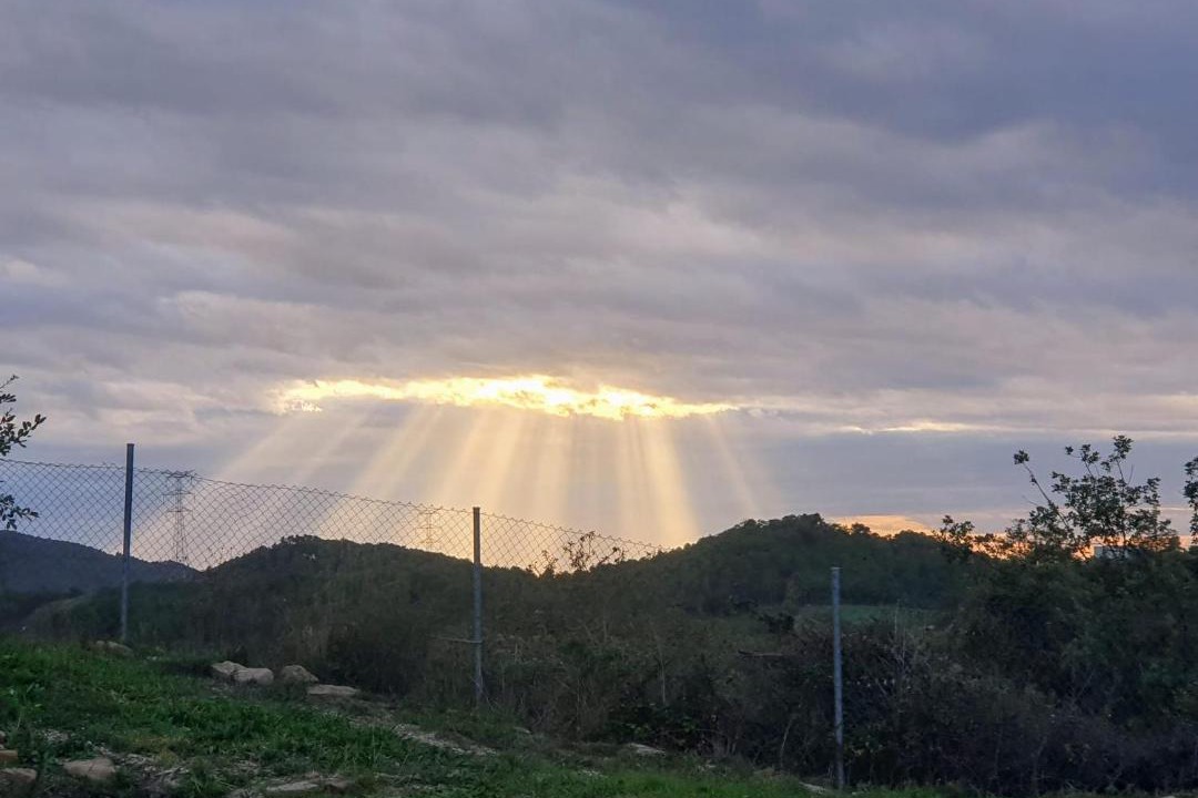 Photo of Others in La Molsosa
