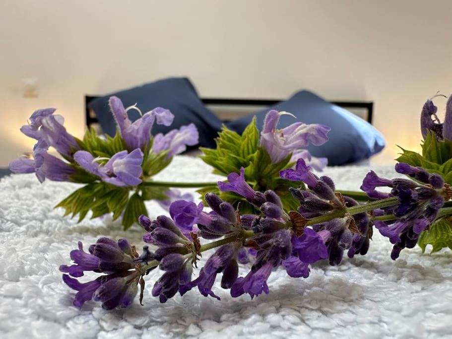 Photo of Bedroom in Londigny