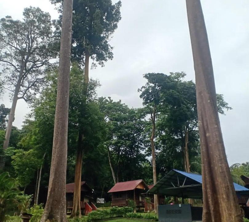 Photo of Others in Lanchang