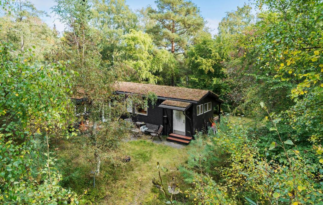 Photo of Others in Stege