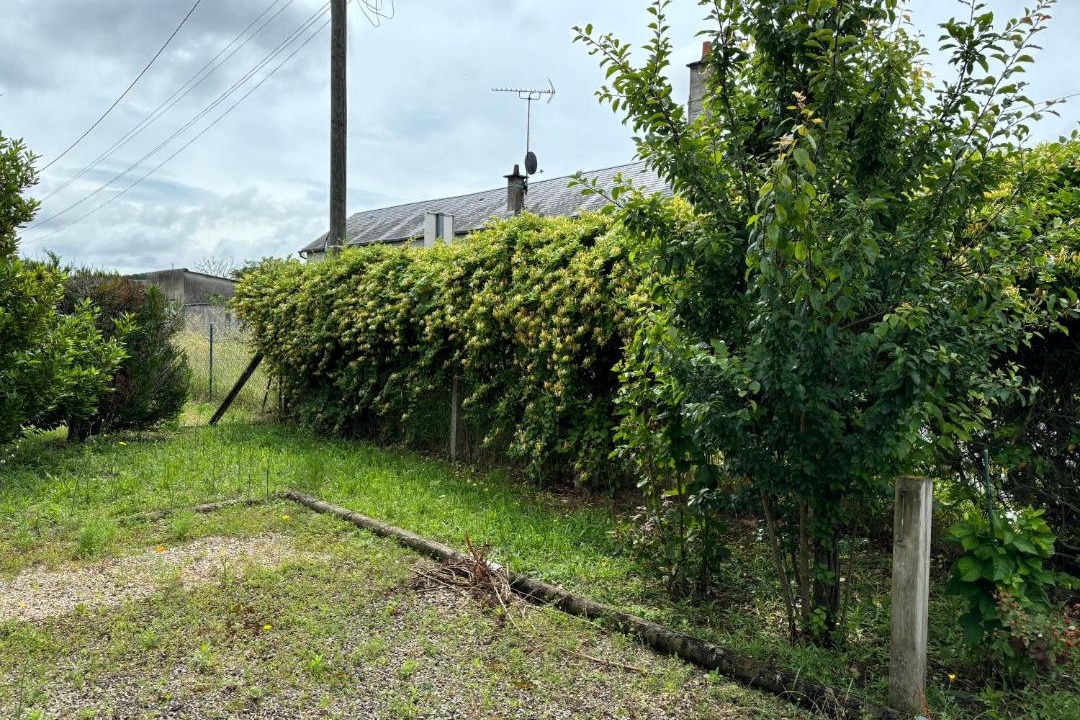 Photo of Others in Anche