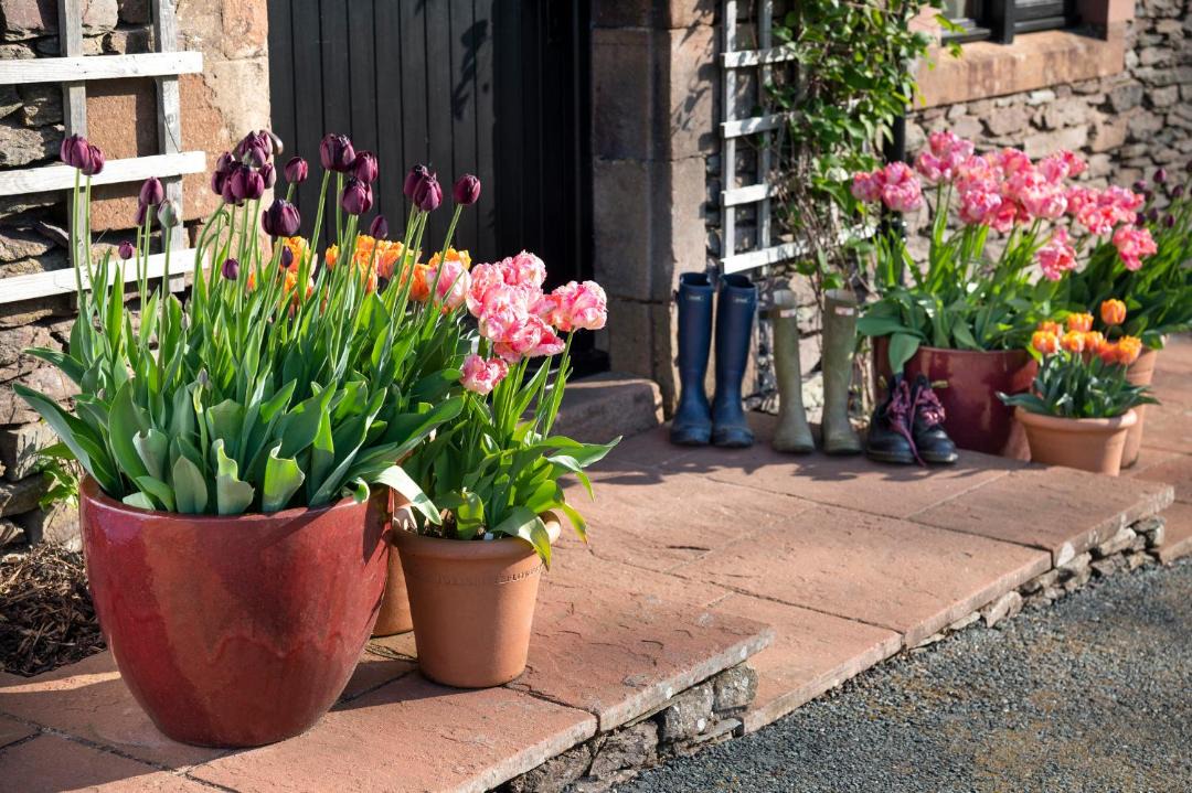 Photo of Others in Penrith