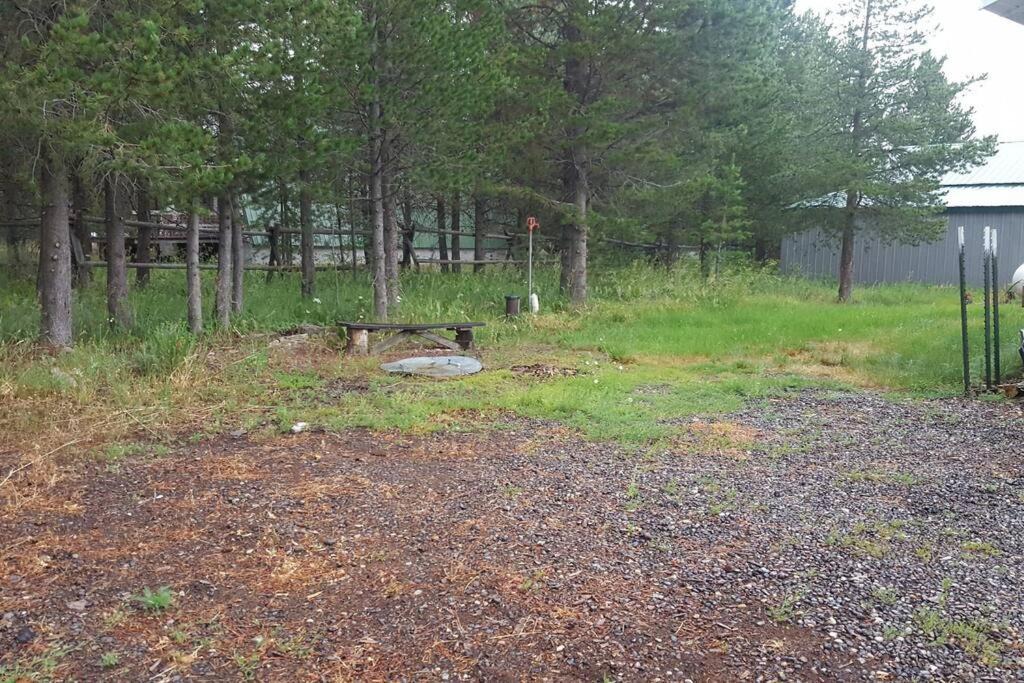 Photo of Others in Last Chance