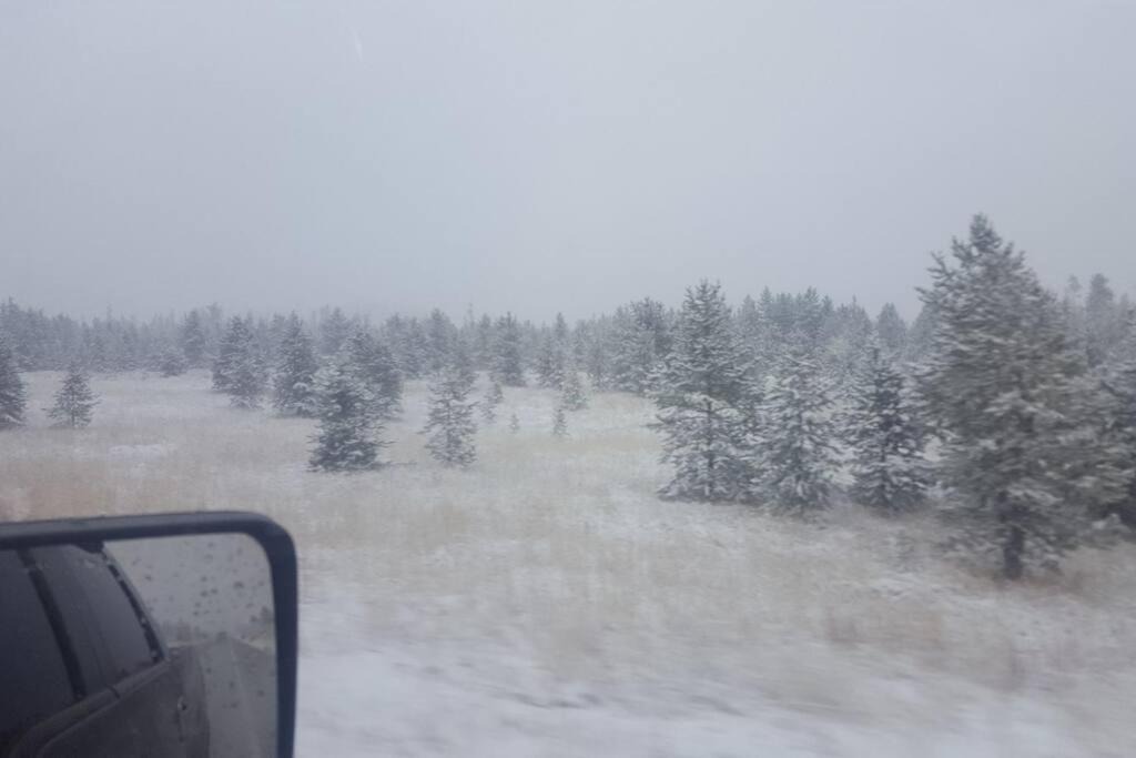 Photo of Others in Last Chance