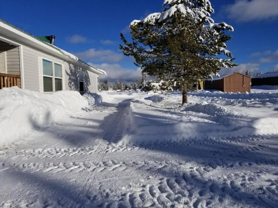 Photo of Others in Last Chance