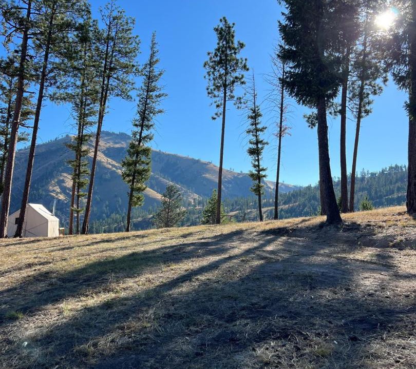 Photo of Others in Conner