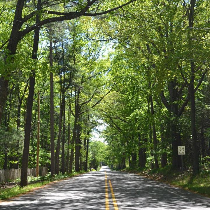 Photo of Others in Glen Arbor