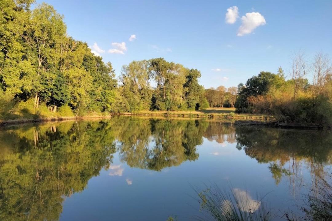 Photo of Others in Morhange