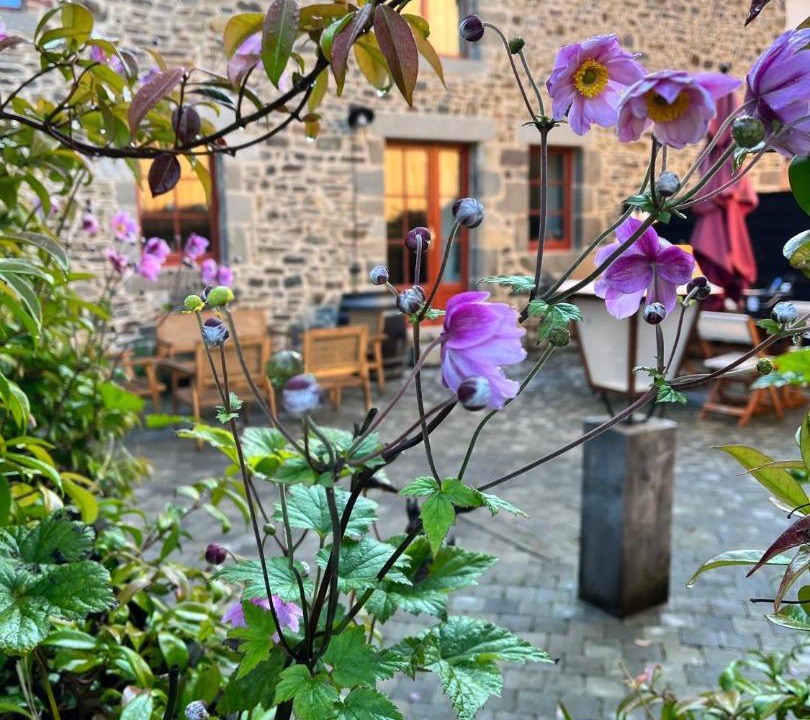 Photo of Others in Dol-de-Bretagne