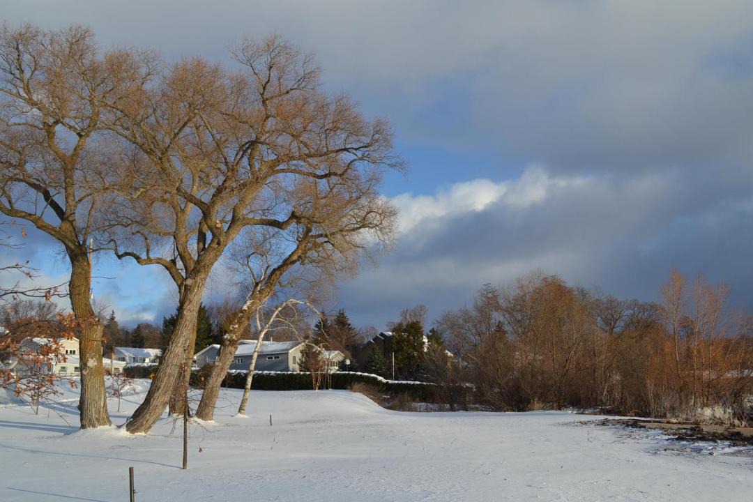 Photo of Others in Suttons Bay