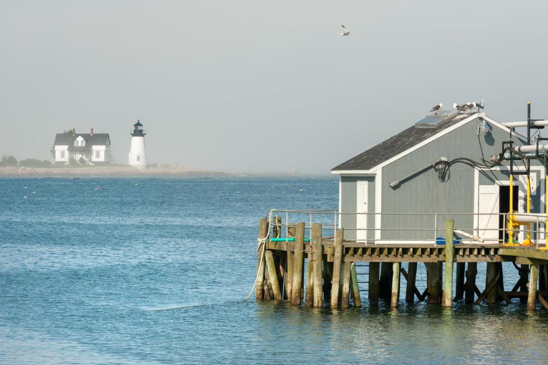 Photo of Others in Prospect Harbor