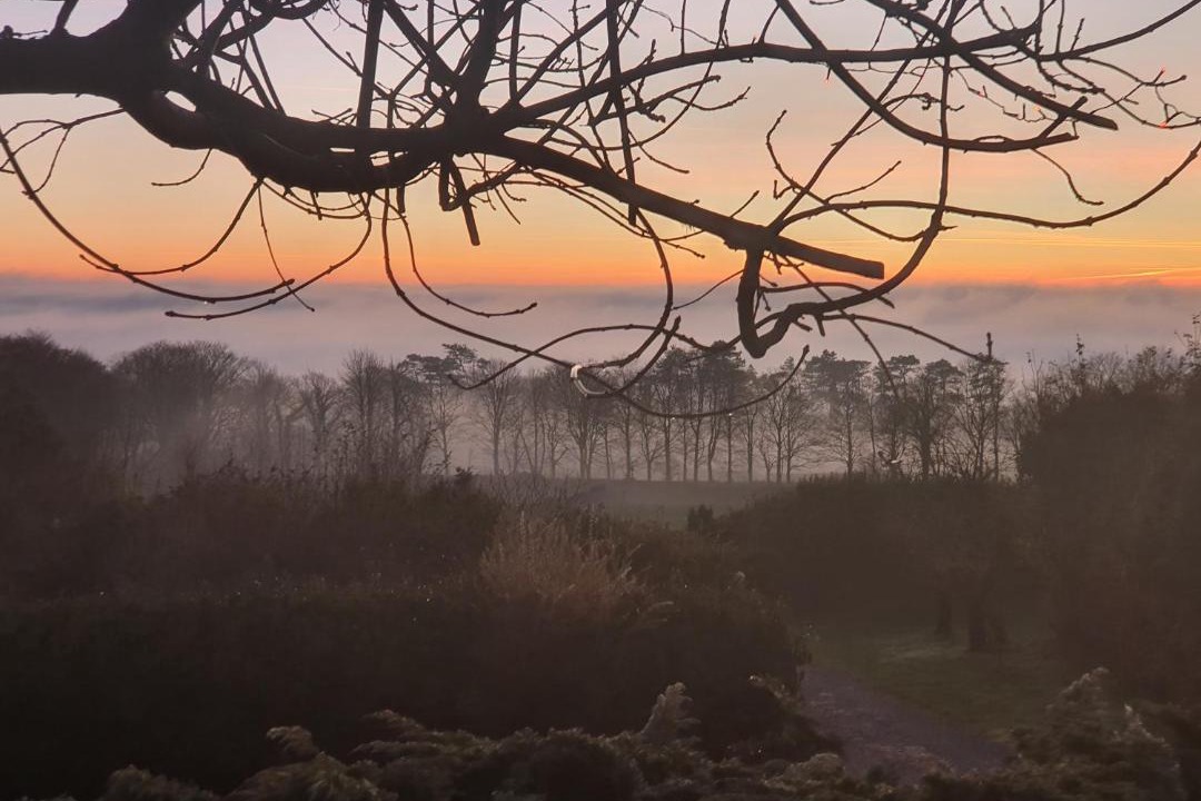 Photo of Others in Silverdale