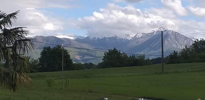 Photo of Others in Haut-de-Bosdarros